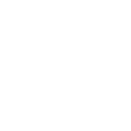 cognition